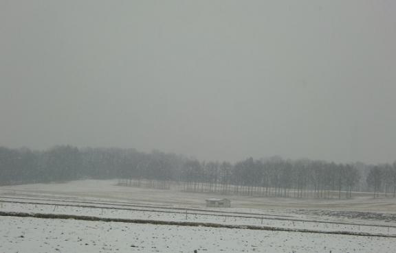 二月の雪.jpg