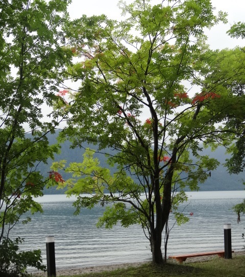 十和田湖10.jpg