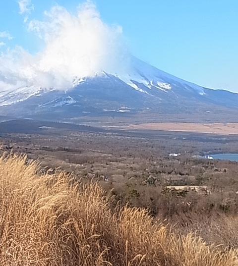 朝の富士山1.jpg
