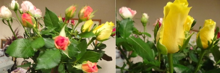 薔薇の花束3.jpg